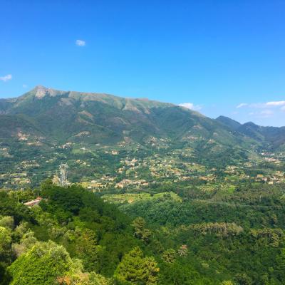 Panorama